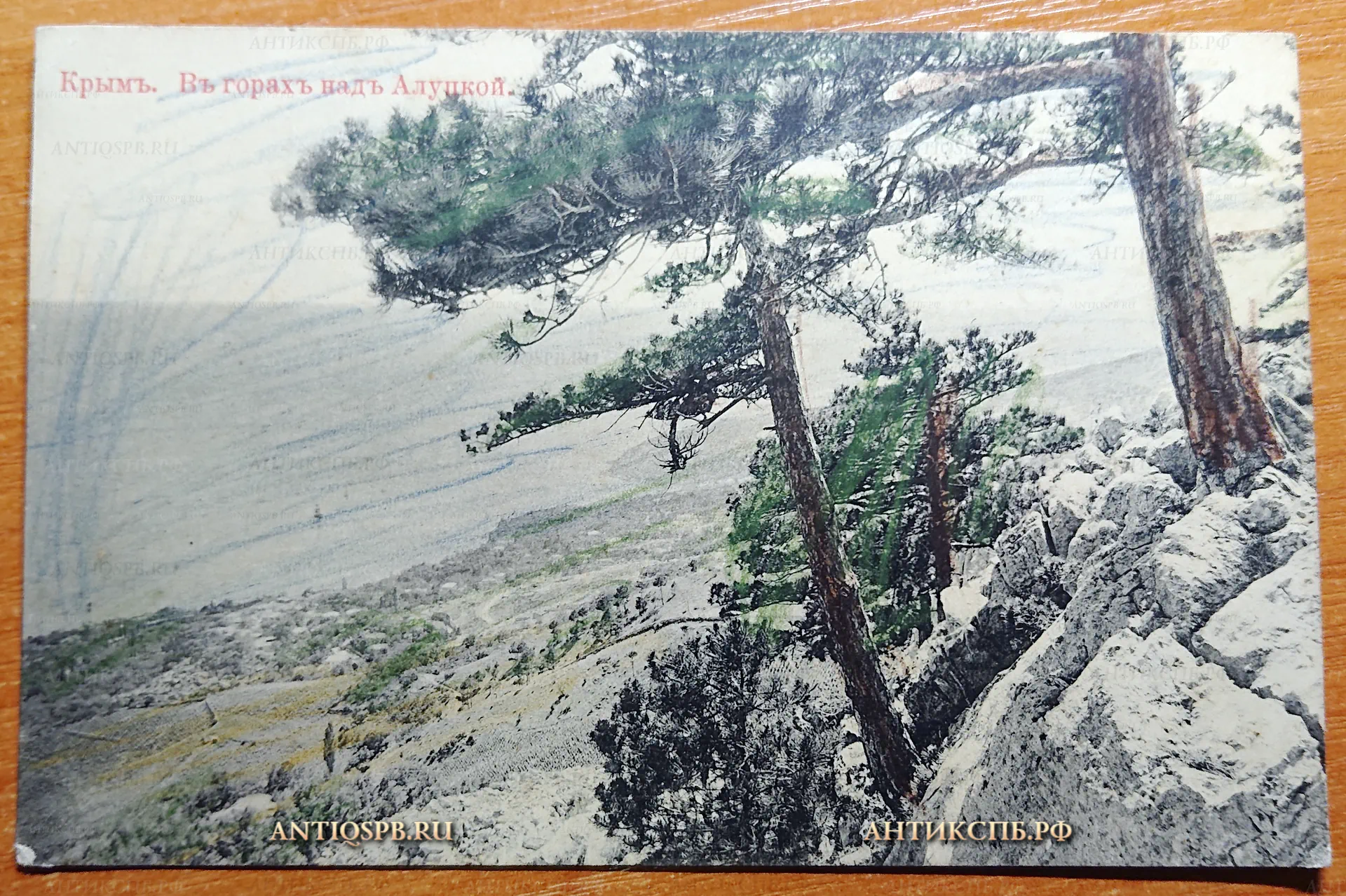 Открытка старинная "Крым. В горах над Алупкой". Россия. Нач. ХХ века. №2880